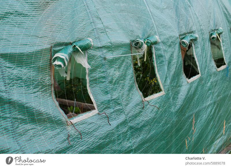 Laubenpieper I Gewächshaus mit offenen Fenstern Gewächsaus Schrebergarten Grün Plane offene Fenster hochgerollt Kleingarten Gemüseanbau Hobby Selbstversorgung