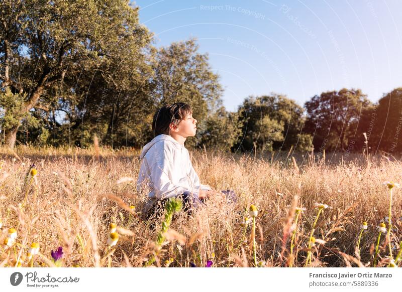Junge beobachtet den Sonnenuntergang in einem ruhigen Feld Frieden Geist Natur im Freien Sommer goldene Stunde Sonnenlicht Friedlichkeit Landschaft Schönheit