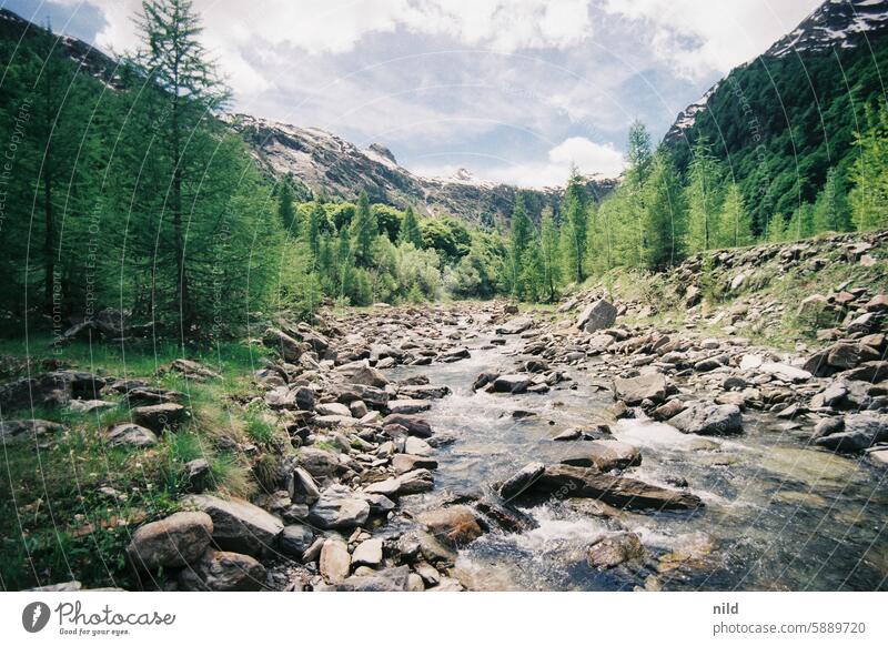 Piemont 2024 Italien Landschaft ausblick ausblick genießen Natur Ferien & Urlaub & Reisen Erholung Außenaufnahme Berge u. Gebirge Farbfoto Idylle grün Sommer