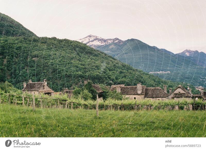 Piemont 2024 Italien Landschaft ausblick ausblick genießen Natur Ferien & Urlaub & Reisen Erholung Außenaufnahme Berge u. Gebirge Farbfoto Idylle grün Sommer