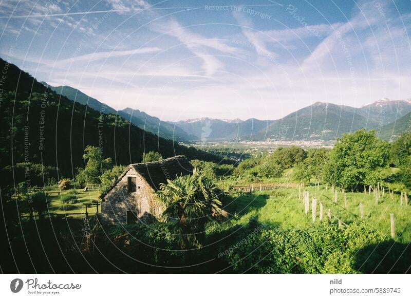 Piemont 2024 Italien Landschaft ausblick ausblick genießen Natur Ferien & Urlaub & Reisen Erholung Außenaufnahme Berge u. Gebirge Farbfoto Idylle grün Sommer