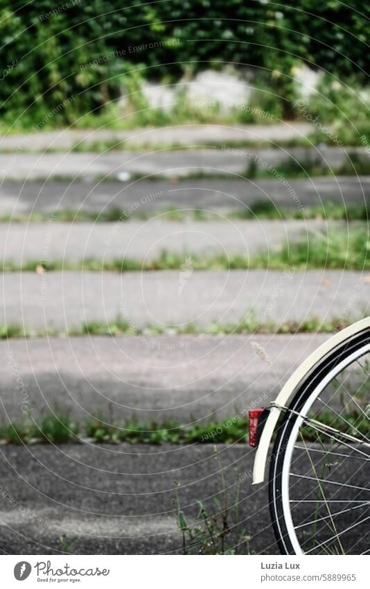 Hinterrad eines Fahrrads, vor Grün, Licht, Platten und Schatten hinterrad Speichen grün Rad Fahrradfahren Verkehr Verkehrsmittel Mobilität Reifen Detailaufnahme