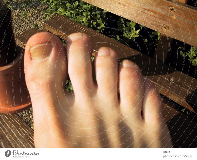 Fußzehen Zehen Mensch Barfuß
