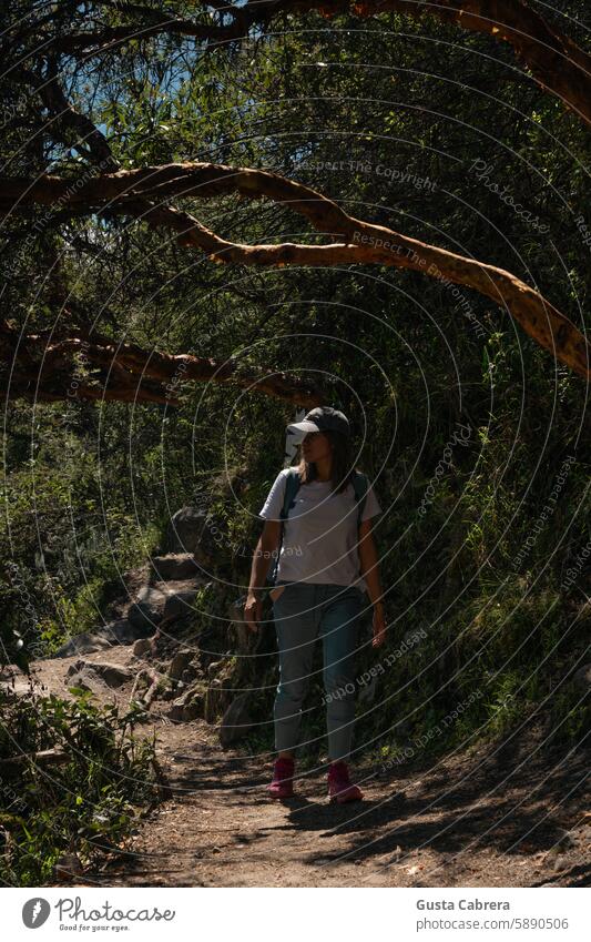 Eine Frau beobachtet die Landschaft, während sie den Weg entlanggeht. wandern Berge u. Gebirge Außenaufnahme Farbfoto Umwelt Wanderung Wanderausflug