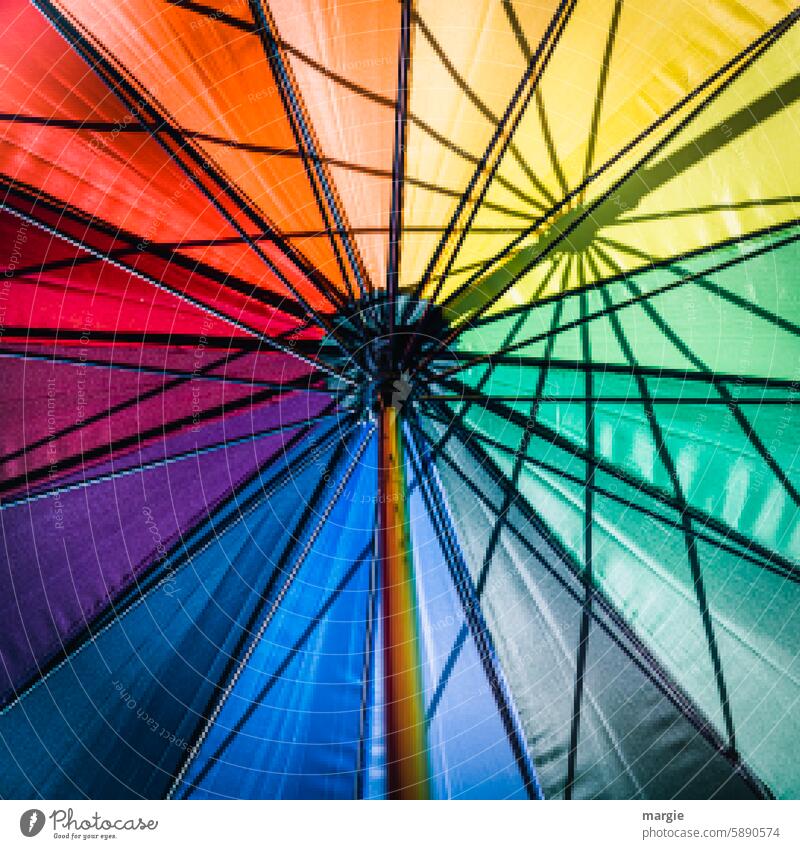 Regenbogen Schirm Regenschirm Sonnenschirm bunt Außenaufnahme Schatten Farbfoto Sommer Schutz regenbogenfarben Gestänge Schattenwurf Linien Mitte Quatratisch