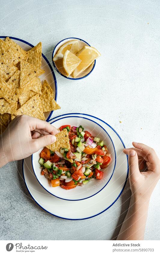 Frische Tomaten-Avocado-Salsa mit Mais-Chips Salsatänzer Koriander Zwiebel Zitrone Saft unkenntlich Snack Amuse-Gueule mexikanisch Küche frisch gehackt Chunk