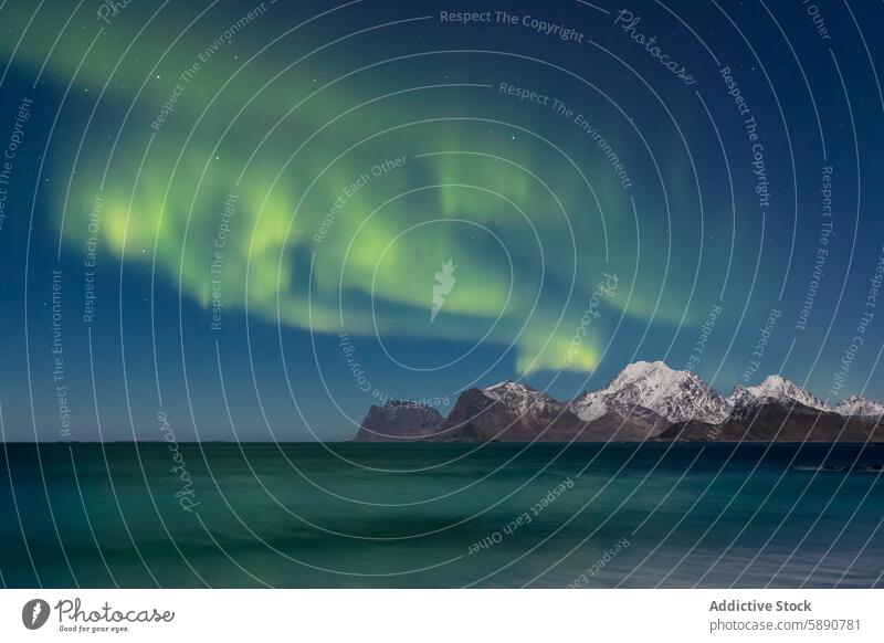 Nordlicht beleuchtet die verschneiten Gipfel der Lofoten Aurora borealis lofoten Norwegen Nacht Himmel Schnee Berge u. Gebirge MEER Reflexion & Spiegelung Ruhe