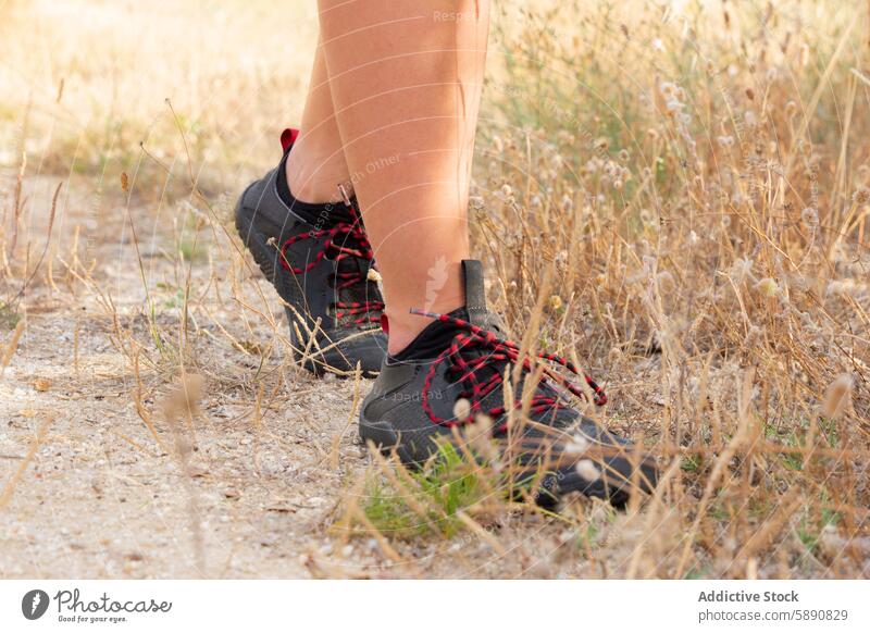 Nahaufnahme von Wanderschuhen auf einem trockenen Grasweg Stiefel Wanderer Nachlauf Weg im Freien Natur Landschaft trocknen Sommer Schuhe Aktivität Abenteuer