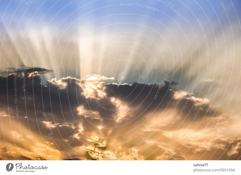 Lichtspiel am Abendhimmel Himmel Wolken Lichtstrahlen Sonnenstrahlen Abenddämmerung Sonnenuntergang Sonnenlicht Farbfoto Lichterscheinung Dämmerung Natur