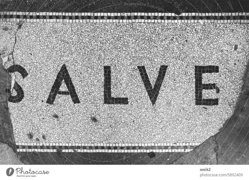 Schadhafte Grüße Hauseingang unten Fußboden Mosaik Gruß antik Latein Salve Totale Schwarzweißfoto Wort Buchstaben Großbuchstaben Schriftzeichen Menschenleer