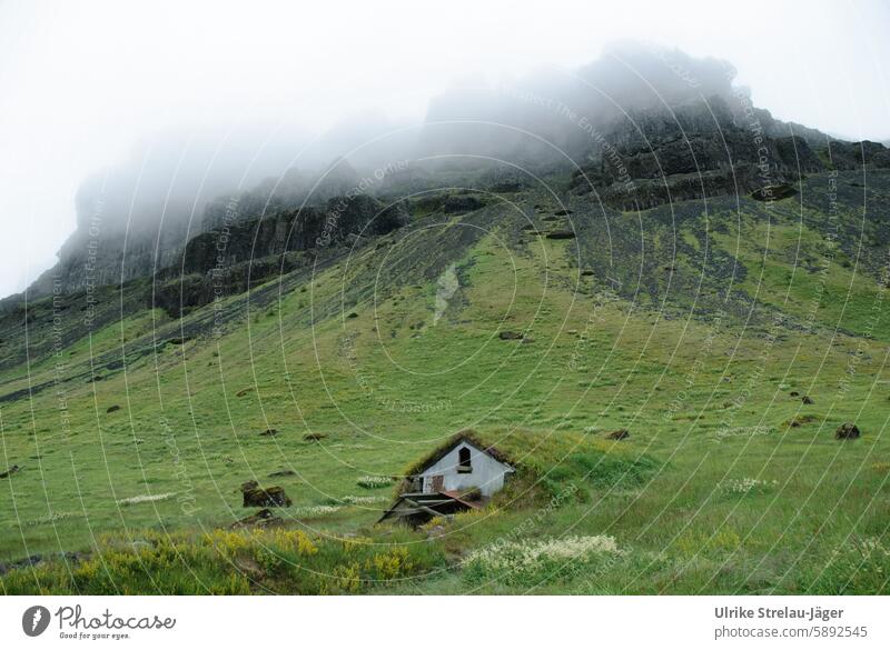 Island | Stallung mit Grasdach an einem nebelverhangenen Berghang Nebel Wiese Weide grün grau schwarz Landschaft Natur ruhig friedlich einsam Hügel Hang