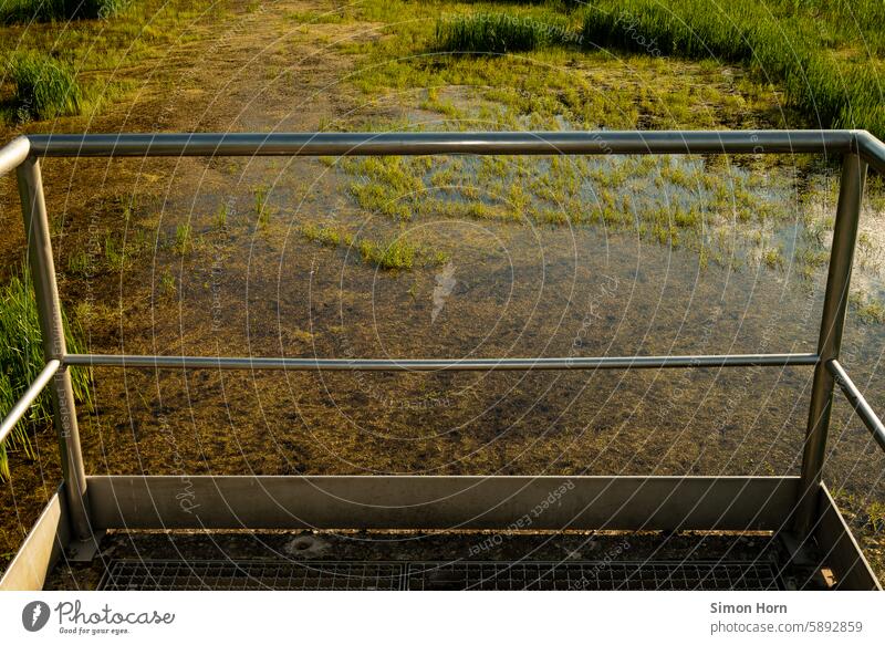 Moorlandschaft von einem Aussichtspunkt mit Metallgeländer aus Wasser Feuchtigkeit Boden Sumpf Umwelt Landschaft Geländer Weiher bewachsen feucht Natur Erholung