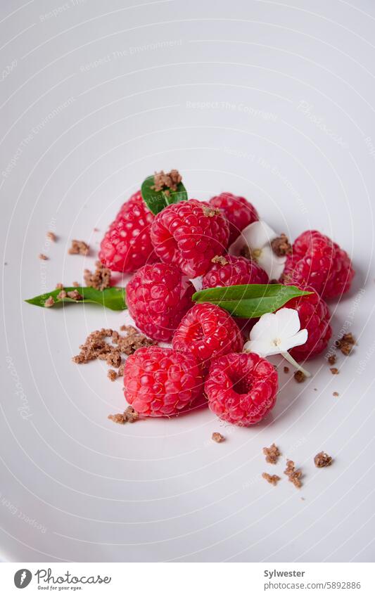 Himbeeren Desserts Tee Säfte Getränke Kuchen Speiseeis