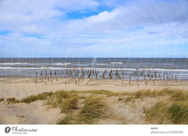 Holzpfähle im Meer symbolisieren ein verschwundenes Dorf am Strand von Petten aan Zee in den Niederlanden an einem stürmischen Tag mit bewölktem Himmel