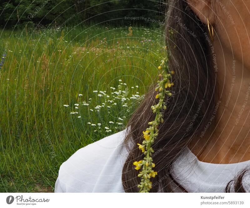 Blumenkinder-Gefühl: Mit Blüten im Haar die Sommerwiese genießen sommerwiese Wiese Blühend Grün gelb langes Haar freiheit leicht natürlich natürliche Schönheit