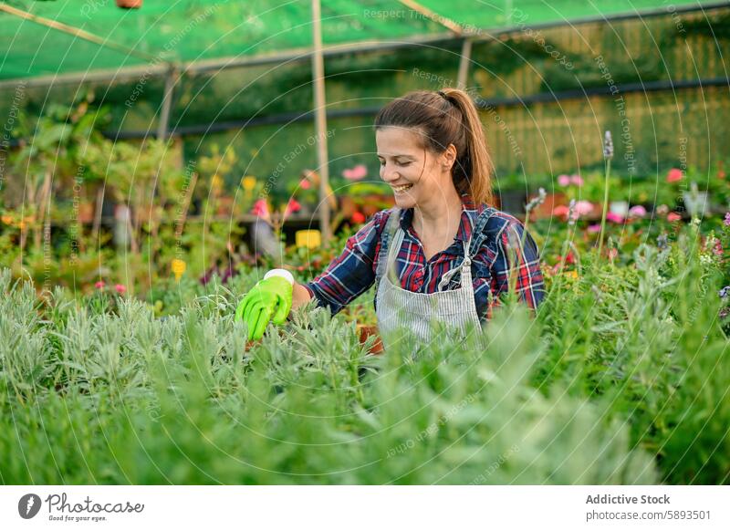 Gut gelaunte Gärtnerin bei der Arbeit im Gewächshaus Frau Pflanze Arbeiter Lächeln grün heiter Wachstum wachsen Beruf Job Botanik positiv Flora Optimist frisch