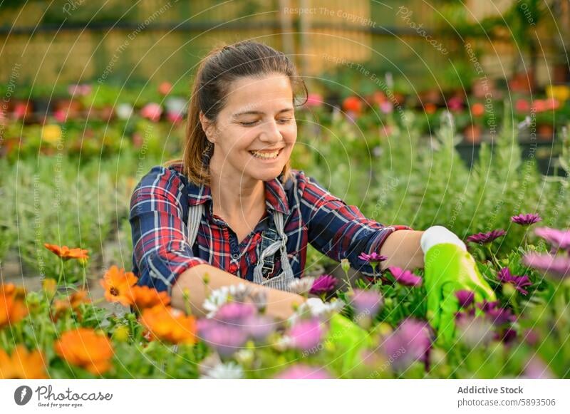 Glückliche Frau zwischen Blumen sitzend Gärtner Arbeit Garten Lächeln Pflanze Blütezeit Flora Gartenbau Hobby Botanik Job positiv heiter farbenfroh geblümt