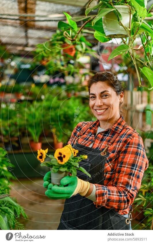 Lächelnde Frau mit Topfblumen im Gewächshaus Blume Pflanze Gärtner eingetopft positiv Botanik Flora Garten heiter Hobby Blütezeit Wachstum geblümt Blumentopf