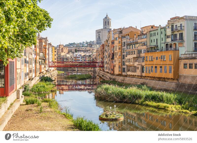 Blumenfest Girona 2024, Spanien antik Architektur künstlerisch Brücke Gebäude katalanisch Katalonien Kathedrale Kirche Großstadt Stadtlandschaft bunt Tag