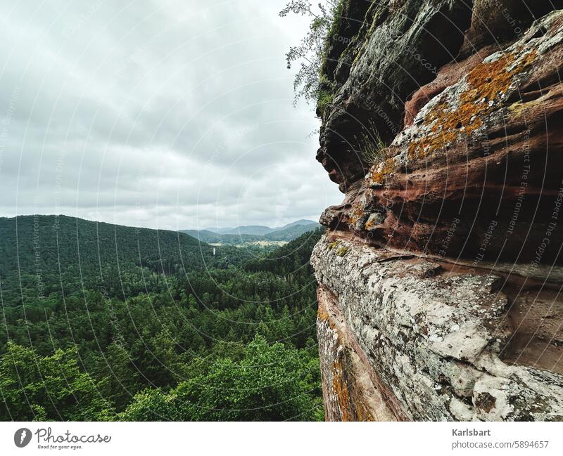 Felsenland felsenlandschaft Natur Landschaft Himmel Pfälzerwald Panorama (Aussicht) Ferne Außenaufnahme Berge u. Gebirge Freiheit Wald Landschaftsaufnahme