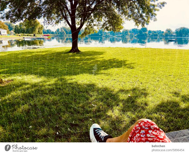 jetlag See Ferien & Urlaub & Reisen erholen entspannen ausruhen reisen unterwegs traumhaft wunderbar wunderschön Aussicht USA Amerika Natur Wasser Baum Rasen