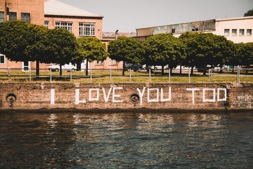 I LOVE YOU TOO spreeufer Spree Straßenkunst Wort Englisch Großbuchstabe Berlin Laubbaum Ich liebe dich auch Schriftzeichen Hintergrund neutral