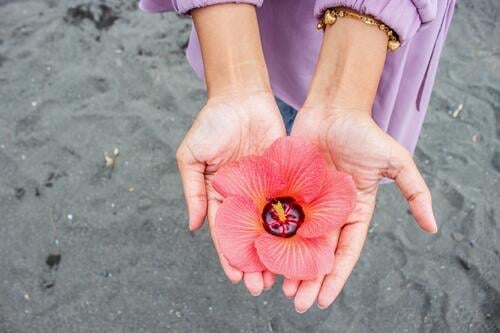 Asiatisches Mädchen hält Blume Zinnie rot landwirtschaftlich Blüte Flora Natur Pflanze Hand Finger asiatisch braun Haut wenig Handfläche Frühling Blütezeit