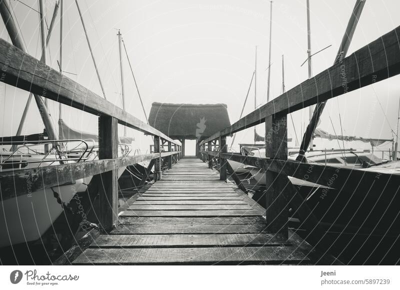 Brücke im Nebel See Steg Wasser nebelig ruhig Natur einsam Stimmung Segelboote Anlegeplatz Boot Holz Landschaft Morgen Morgendämmerung Sonnenaufgang Himmel blau