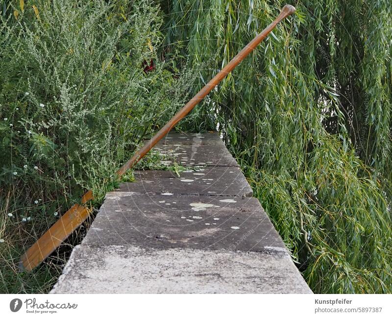 Holzpaddel lehnt, halb von der Trauerweide bedeckt, an der sonnenwarmen Steinmauer. Sommer sommerlich Paddel Erholung Urlaub freiheit Wassersport freizeit Sonne