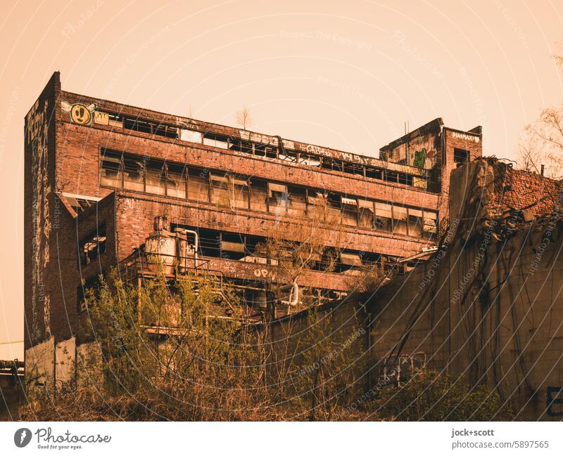 verlassene Industriekultur Fabrikgebäude Gebäude historisch Leipzig Zahn der Zeit lost places Wandel & Veränderung Vergänglichkeit alt Leerstand Ruine baufällig