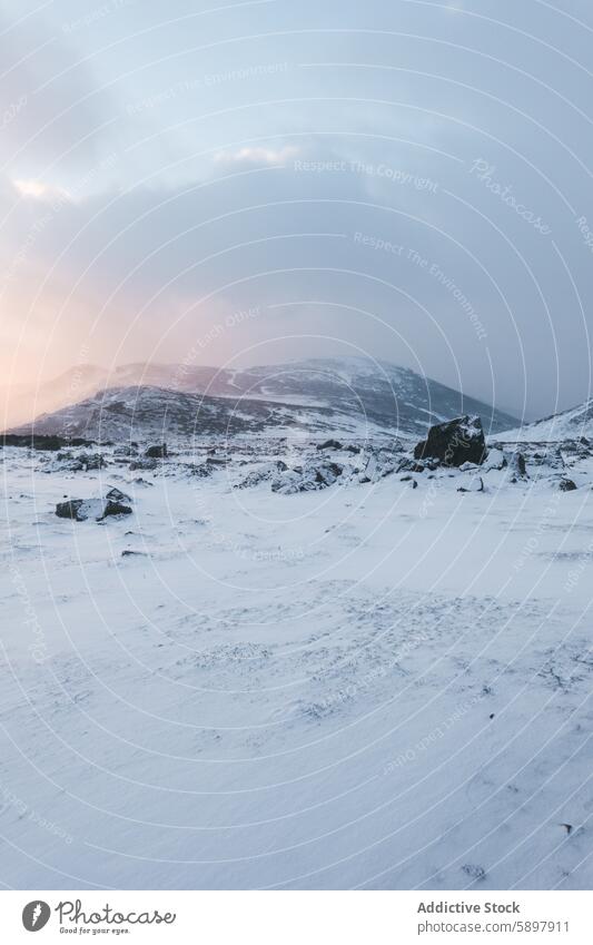 Winterlandschaft in den Bergen von Palencia Landschaft Berge u. Gebirge curavacas espiguete palencia Schnee Morgenlicht Gelassenheit frostig Berghang Felsen