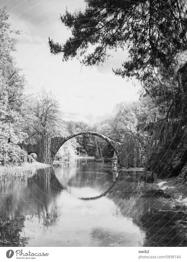 Entrückt Rakotzbrücke Park See Wasser Außenaufnahme Natur Landschaft Brücke Umwelt Tag Pflanze Reflexion & Spiegelung ruhig Seeufer Menschenleer Idylle