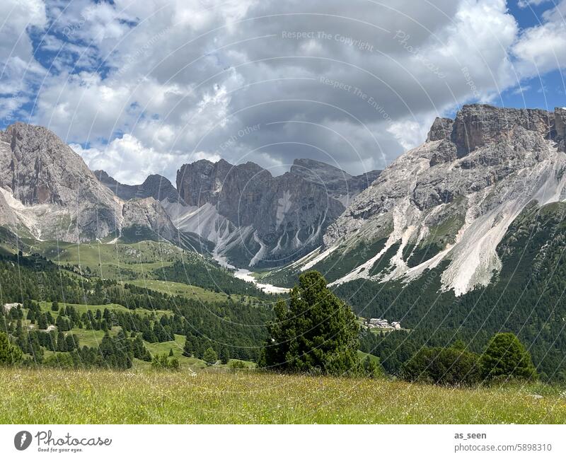 Col Raiser Alm südtirol Berge alpenlandschaft Italien Wiese Landschaft Südtirol Berge u. Gebirge Alpen Natur wandern Ferien & Urlaub & Reisen Himmel Felsen