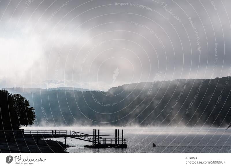 Morgens am Bodensee Silhouette Wasser Steg Nebel Morgendämmerung See Stimmung Einsamkeit Natur Umwelt Kontrast Schatten Licht Seeufer Landschaft ruhig Wald