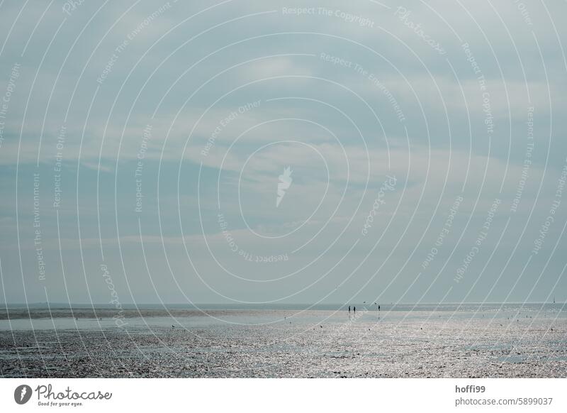 bedeckter Himmel über dem Wattenmeer bei Ebbe, kleine Wanderer im Schlick inklusive Urlaub Nordsee weite weit hinaus ebbe und flut Gezeiten Küste Meer Strand