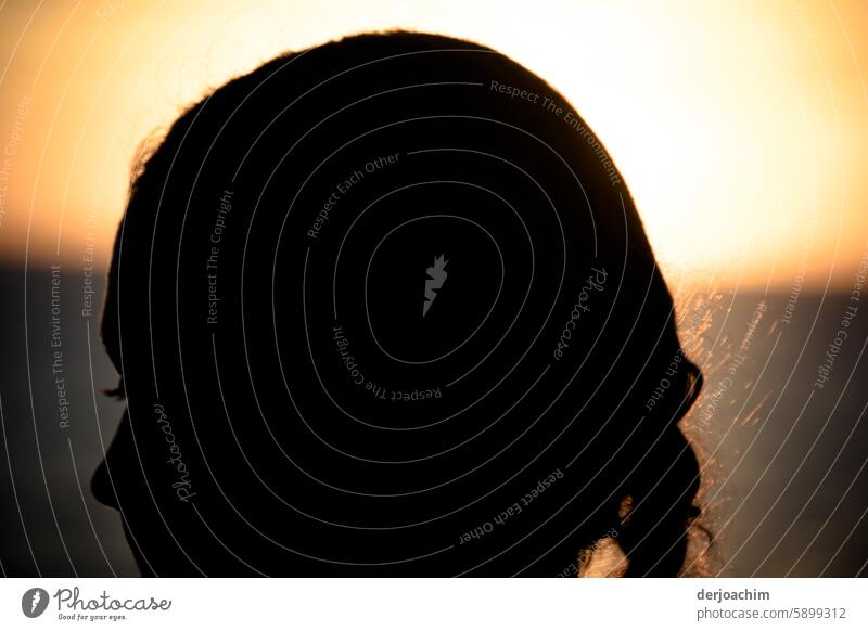 Die letzten Strahlen der Untergehenden Sonne am Pacific,  lassen den Kopf als Silhouette erscheinen. Sonnenuntergang Meer Abend Natur Licht Außenaufnahme