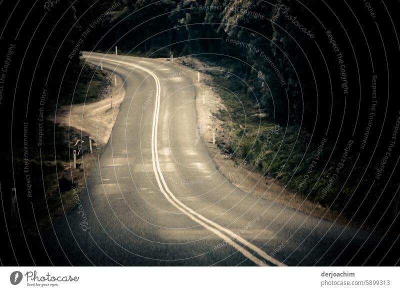 Immer links Fahrend der Straße nach durch das große Waldgebiet in Tasmanien. Straßen Außenaufnahme Fotografie außen Photographie im Freien draußen am Tag