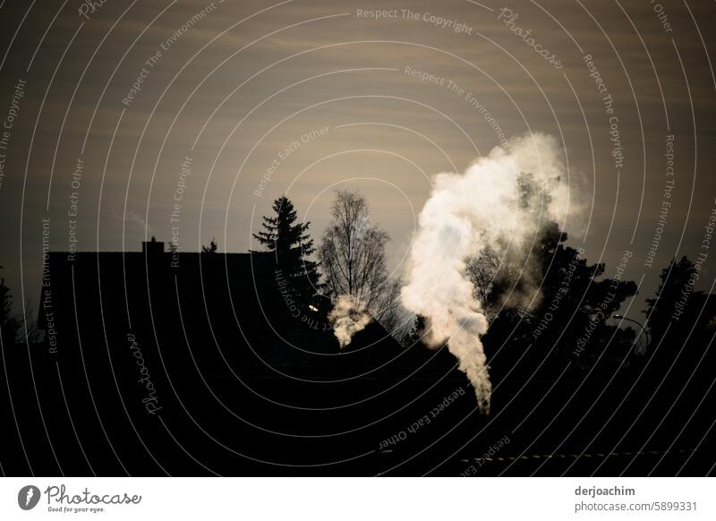 Rauchzeichen am frühen kalten Winter Morgen von den Schornsteinen der Häuser. Rauchwolke Menschenleer Außenaufnahme Abgas Umweltverschmutzung Kohlendioxid