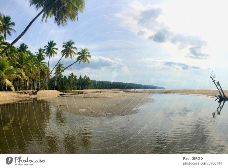 Schöner Strand und Kokospalme in Playa Coson, Dominikanische Republik MEER tropisch Meer Himmel Sand Handfläche Landschaft Natur Paradies Urlaub Karibik Lagune