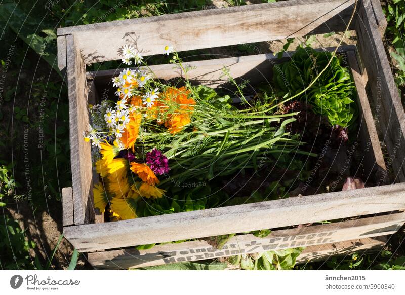 Holzkiste gefüllt mit Gemüse und Blumen Ernte acker Kiste Ringelblumen Anbau essen gesund Bio Bioprodukte Lebensmittel Ernährung Vegetarische Ernährung frisch