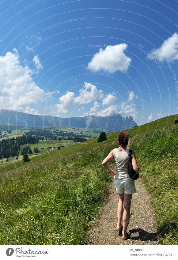 Spaziergang auf der Alm Frau Wiese Sommer Shorts warm Sonne Berge Alpen Seiser Alm Schlern Berge u. Gebirge Natur Außenaufnahme Landschaft Südtirol Farbfoto Tag