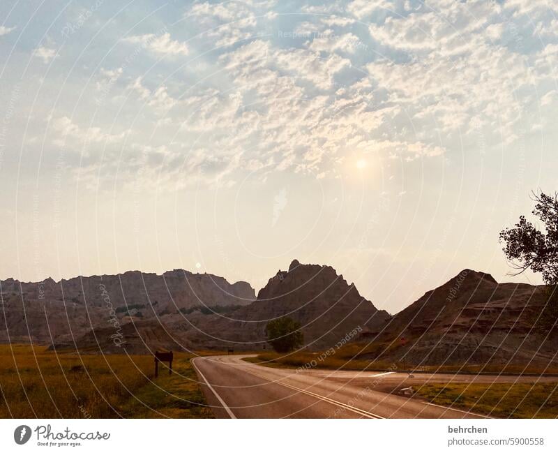 weggeschichten traumhaft Sonnenaufgang Sonnenlicht Gegenlicht Amerika South Dakota badlands Berge u. Gebirge Wüste Trockenheit Himmel Landschaft USA Natur