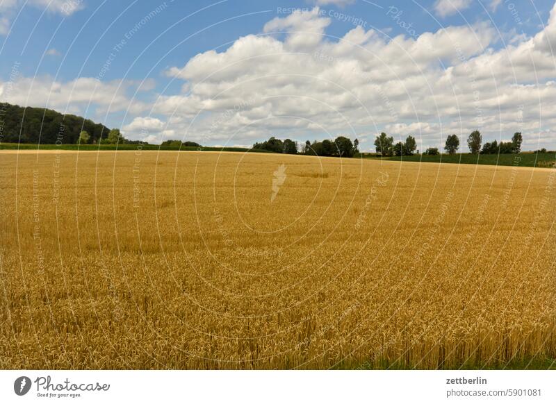 Getreidefeld bach bauernhof garten gehöft getreudefeld hessen innenhof kornfeld landschaft landwirtschaft schächerbach schächerbachtour stausebach tor tür