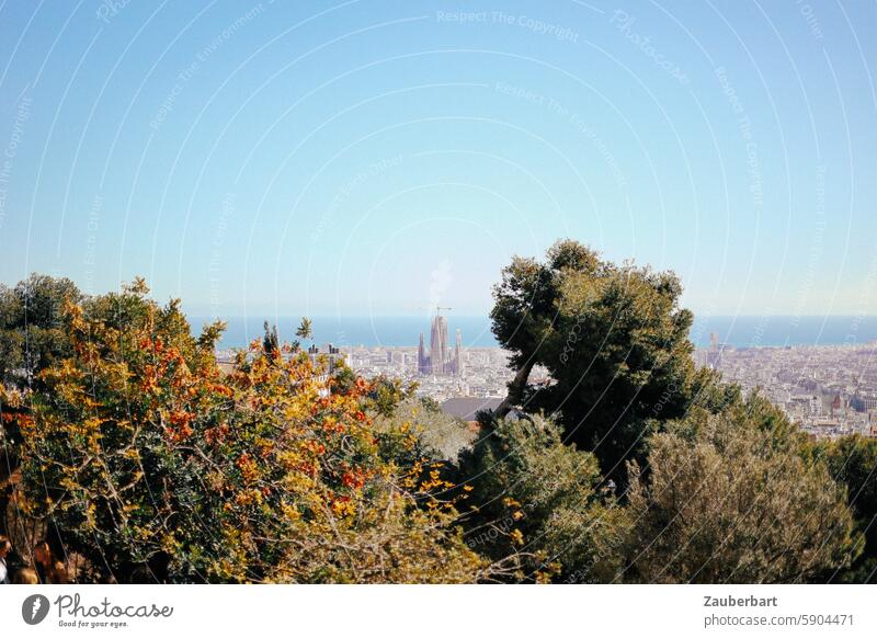 Panorama von Barcelona mit Büschen im Vordergrund und Sagrada Familia Sehenswürdigkeit Bauwerk Stadt Tourismus Overtourism Sightseeing Wahrzeichen Städtereise