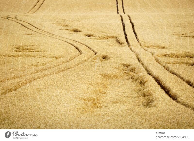 Getreidefeld ohne Horizont mit zwei Leitspuren, eine davon schief und geknickt Umweg Feldwirtschaft Landwirtschaft Alkoholproblem Getreideernte Karriereknick