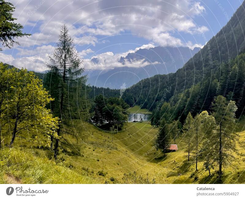 Berglandschaft mit See Berge u. Gebirge Alpen Landschaft Natur Himmel Wasser Umwelt Idylle Erholung ruhig Wald Bäume Tag Ferien & Urlaub & Reisen wandern