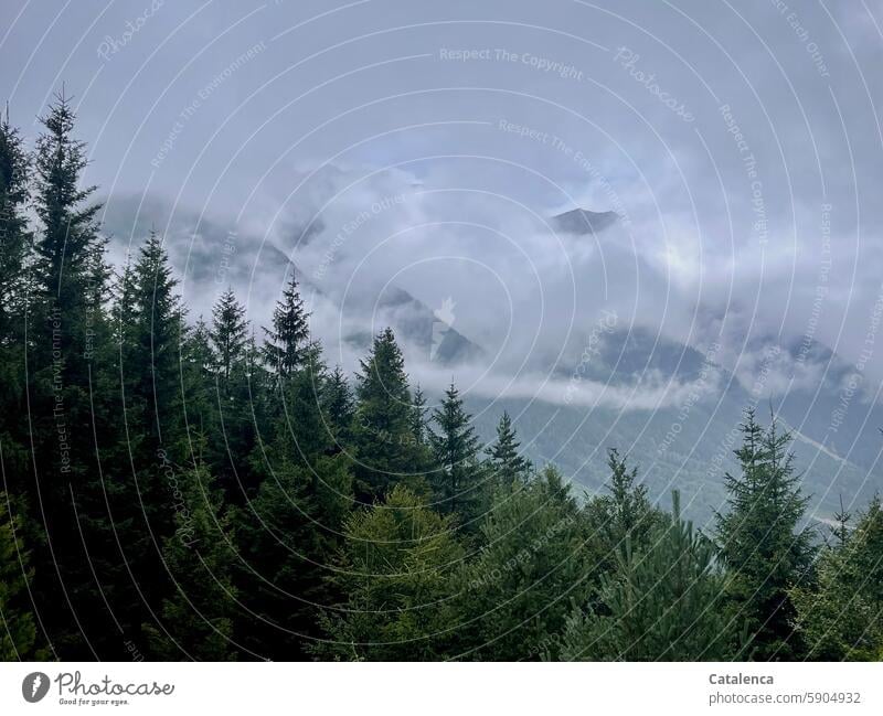 Regnerisches Wetter in den Bergen Gipfel Berge u. Gebirge Natur Tag Tourismus Ferien & Urlaub & Reisen Umwelt Landschaft Himmel Tageslicht wandern Wolken Wald