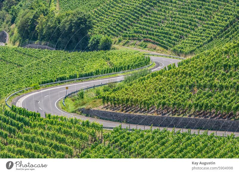 Serpentine Ahrtal Straßen Gefälle Steigung Weinberg Weinanbau Weinberg Idylle Landwirtschaften Landschaften Grün Flora Botanik Weinstöcke Pflanzen Hanglage