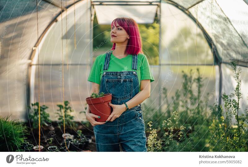 Junge rosahaarige Gärtnerin im Gewächshaus, frisch gepflanzte Pflanze im Topf Garten Gartenarbeit Frau grün Natur Blume Gartenbau Ackerbau Wachstum Glück