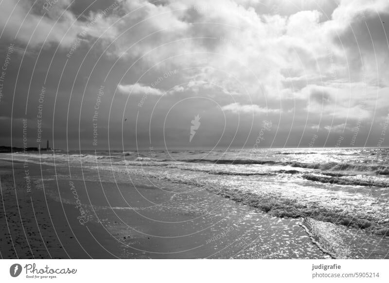 Skagen Küste Ostsee Meer Ostseeküste Strand Himmel Wasser Landschaft Ferien & Urlaub & Reisen Natur Sand Wolken Horizont Licht Ostseestrand Dänemark Wellen